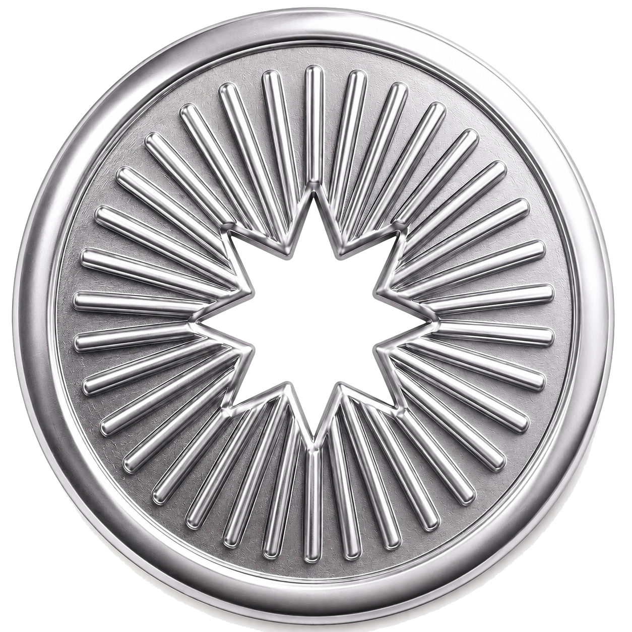Polaris Leadership Academy donation coin